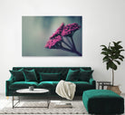 Pink winter flowers by Giordano Aita on GIANT ART - fuchsia photo illustration