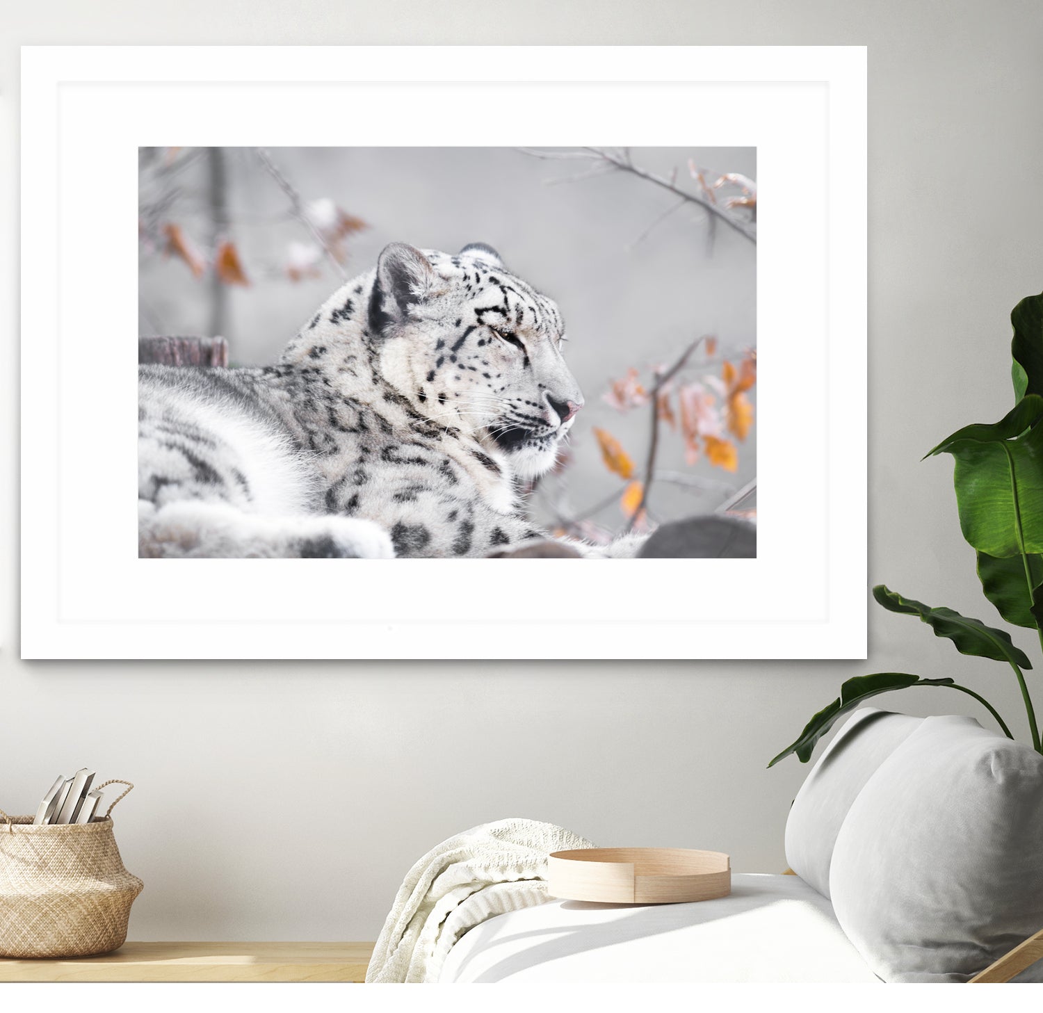 Snow leopard by Sarah Arthur on GIANT ART - gray photo illustration