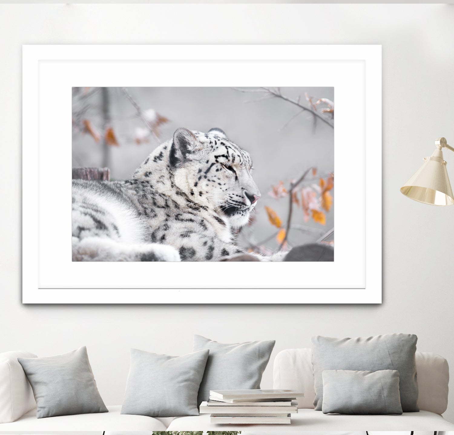 Snow leopard by Sarah Arthur on GIANT ART - gray photo illustration