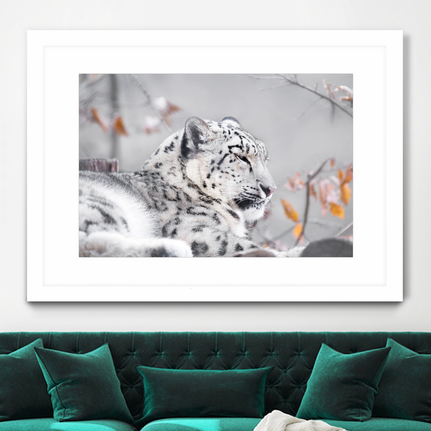 Snow leopard by Sarah Arthur on GIANT ART - gray photo illustration