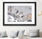 Snow leopard by Sarah Arthur on GIANT ART - gray photo illustration