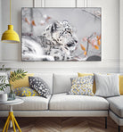 Snow leopard by Sarah Arthur on GIANT ART - gray photo illustration