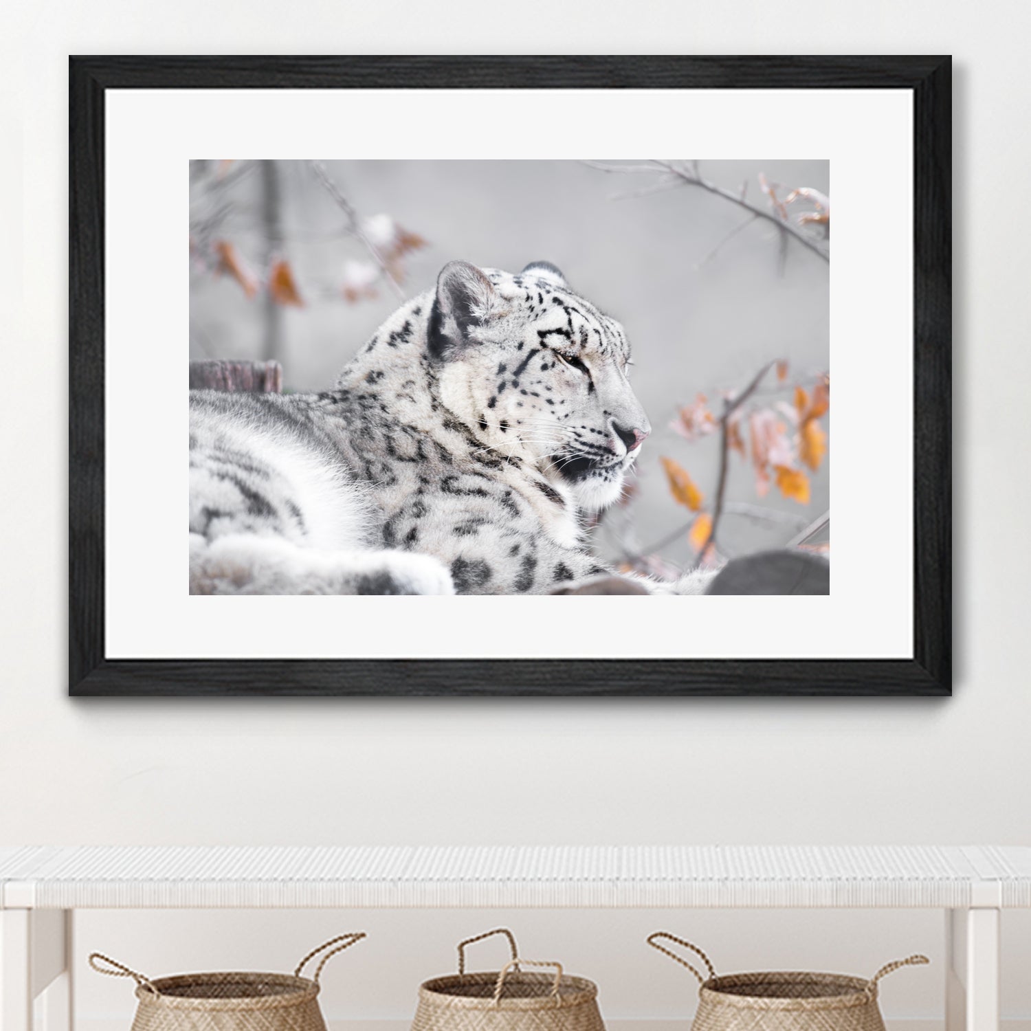 Snow leopard by Sarah Arthur on GIANT ART - gray photo illustration