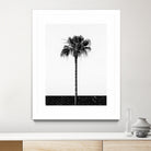 Coconut Tree by Uma Gokhale on GIANT ART - white photo manipulation