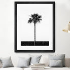 Coconut Tree by Uma Gokhale on GIANT ART - white photo manipulation