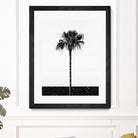 Coconut Tree by Uma Gokhale on GIANT ART - white photo manipulation