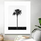 Coconut Tree by Uma Gokhale on GIANT ART - white photo manipulation