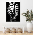 Stripes And Tails Monochrome by Irina Safonova on GIANT ART - gray photo manipulation