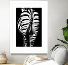 Stripes And Tails Monochrome by Irina Safonova on GIANT ART - gray photo manipulation