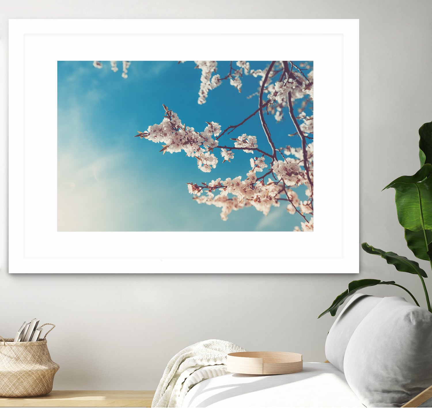 Spring Cherry Sakura White Flowers,Toning by Anna Matveeva on GIANT ART - blue photo illustration