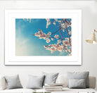 Spring Cherry Sakura White Flowers,Toning by Anna Matveeva on GIANT ART - blue photo illustration