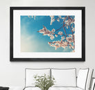 Spring Cherry Sakura White Flowers,Toning by Anna Matveeva on GIANT ART - blue photo illustration