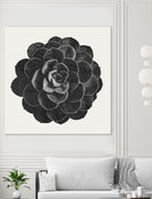 Black Marble Succulent Plant by amini 54 on GIANT ART - black digital painting