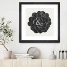 Black Marble Succulent Plant by amini 54 on GIANT ART - black digital painting