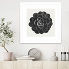 Black Marble Succulent Plant by amini 54 on GIANT ART - black digital painting