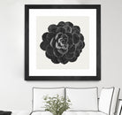 Black Marble Succulent Plant by amini 54 on GIANT ART - black digital painting