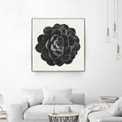 Black Marble Succulent Plant by amini 54 on GIANT ART - black digital painting