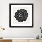 Black Marble Succulent Plant by amini 54 on GIANT ART - black digital painting