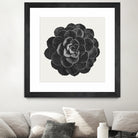 Black Marble Succulent Plant by amini 54 on GIANT ART - black digital painting