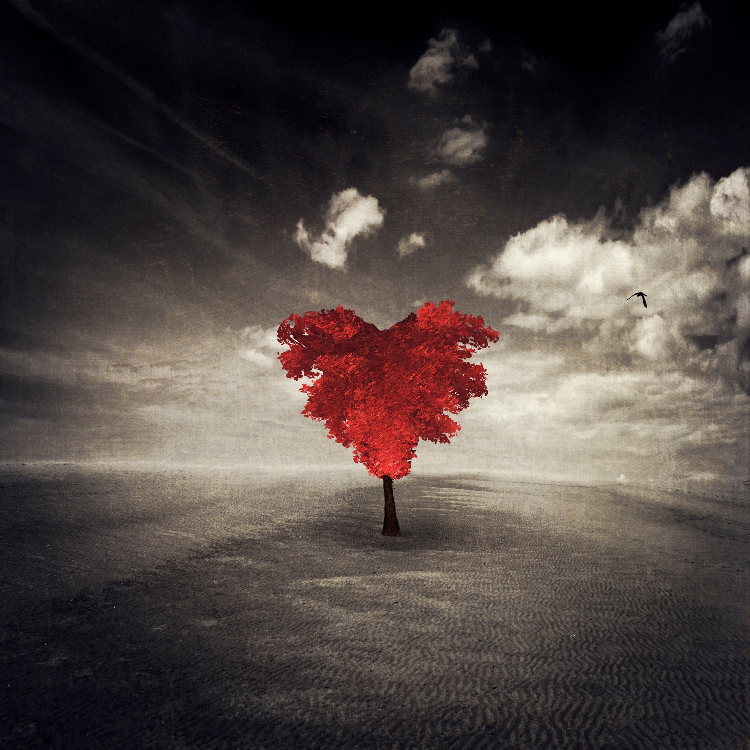 heart tree by Dirk Wüstenhagen on GIANT ART - brown photo illustration