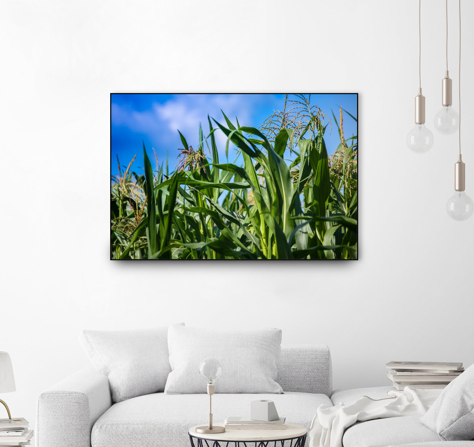 Corn Field Blue Sky Close-up by Anna Matveeva on GIANT ART - green photo illustration