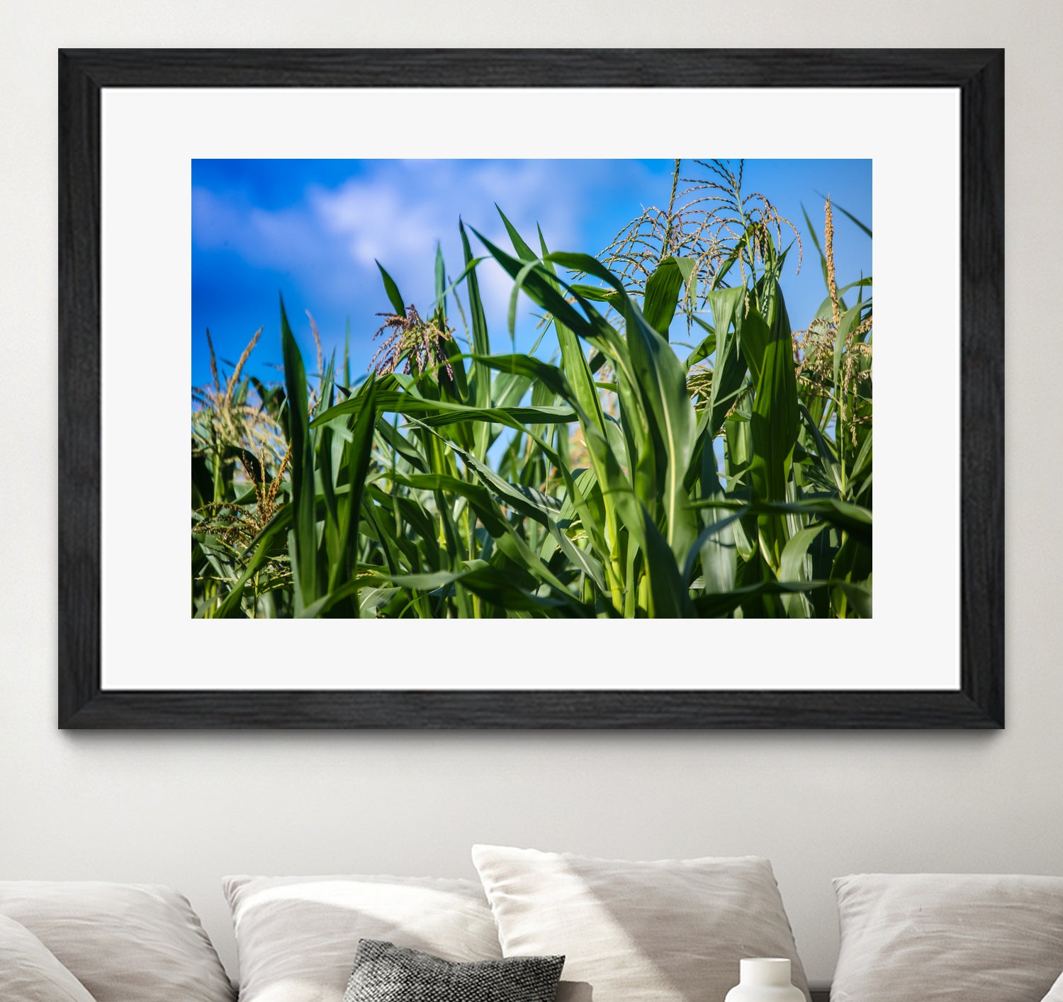 Corn Field Blue Sky Close-up by Anna Matveeva on GIANT ART - green photo illustration