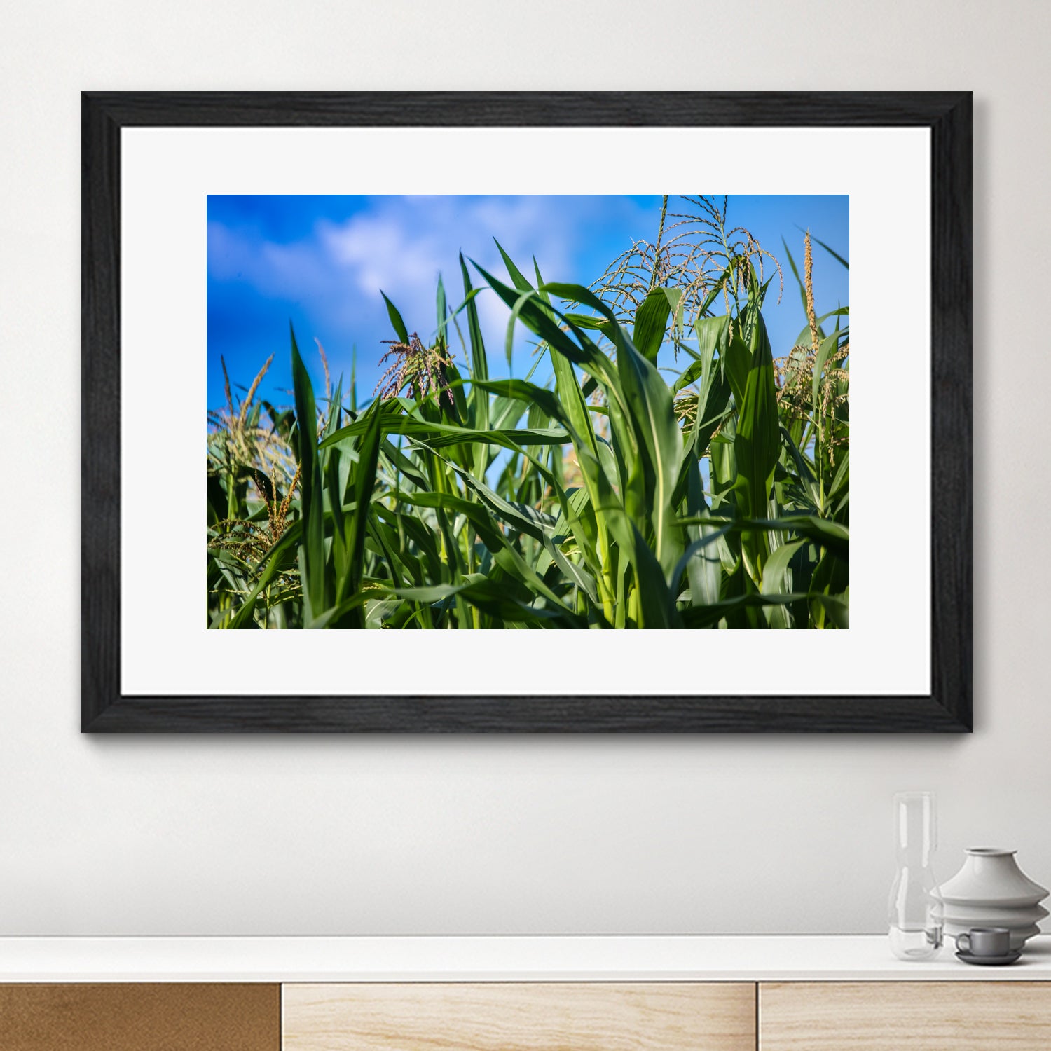 Corn Field Blue Sky Close-up by Anna Matveeva on GIANT ART - green photo illustration