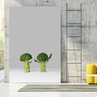 Arguing Broccolis by Anders Wasser on GIANT ART - gray photo illustration