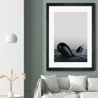 Dark & Stormy by Anders Wasser on GIANT ART - gray photo illustration