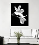 White Flowers Black Background by Alessandra Minervini on GIANT ART - black digital painting