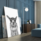 Happy Llama by Kathrin Pienaar on GIANT ART - gray photo manipulation