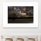 Milky way and Lone Tree by Lorenzo Bustillo on GIANT ART - gray photo illustration