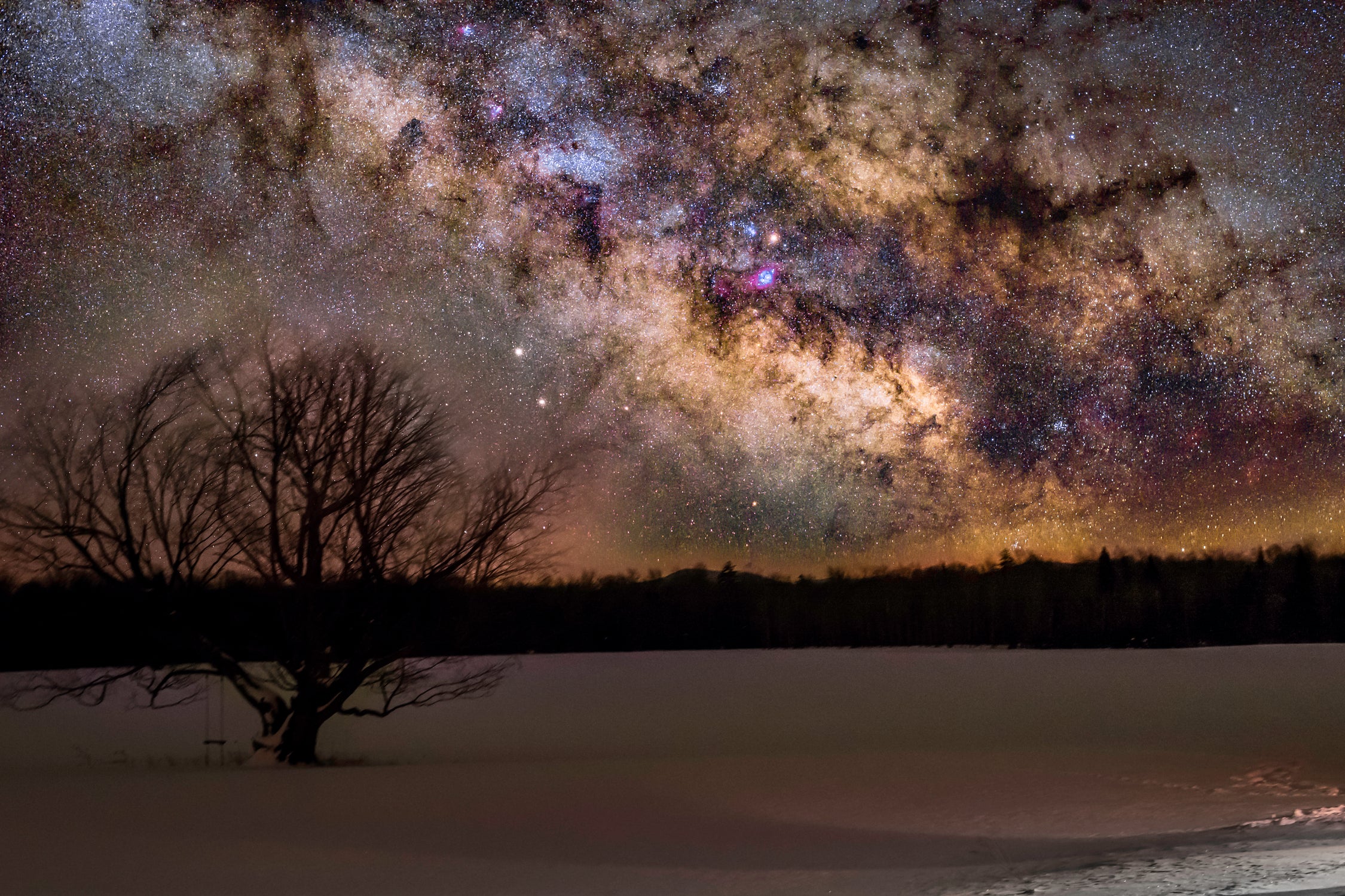 Milky way and Lone Tree by Lorenzo Bustillo on GIANT ART - gray photo illustration