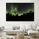 Quebec Northern Lights by Lorenzo Bustillo on GIANT ART - gray photo illustration