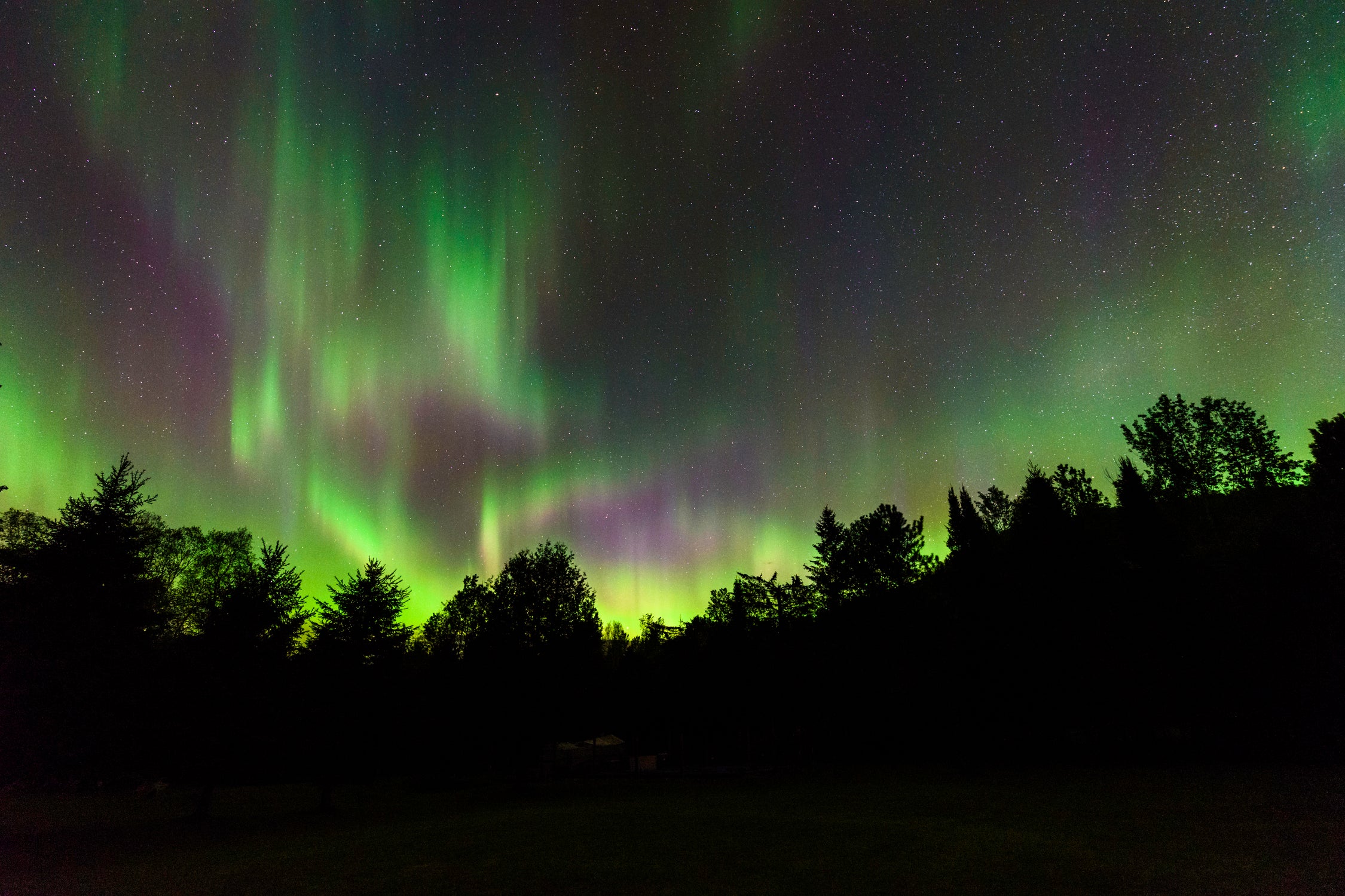 Quebec Northern Lights by Lorenzo Bustillo on GIANT ART - gray photo illustration