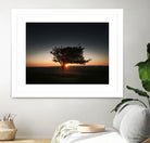 Windswept tree at Penclawdd, Gower by Leighton Collins on GIANT ART - orange photo illustration