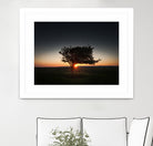 Windswept tree at Penclawdd, Gower by Leighton Collins on GIANT ART - orange photo illustration