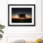 Windswept tree at Penclawdd, Gower by Leighton Collins on GIANT ART - orange photo illustration