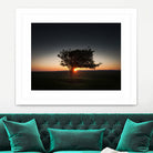 Windswept tree at Penclawdd, Gower by Leighton Collins on GIANT ART - orange photo illustration