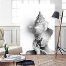 Lady in a Shell by Tania Amrein on GIANT ART - gray mixed media