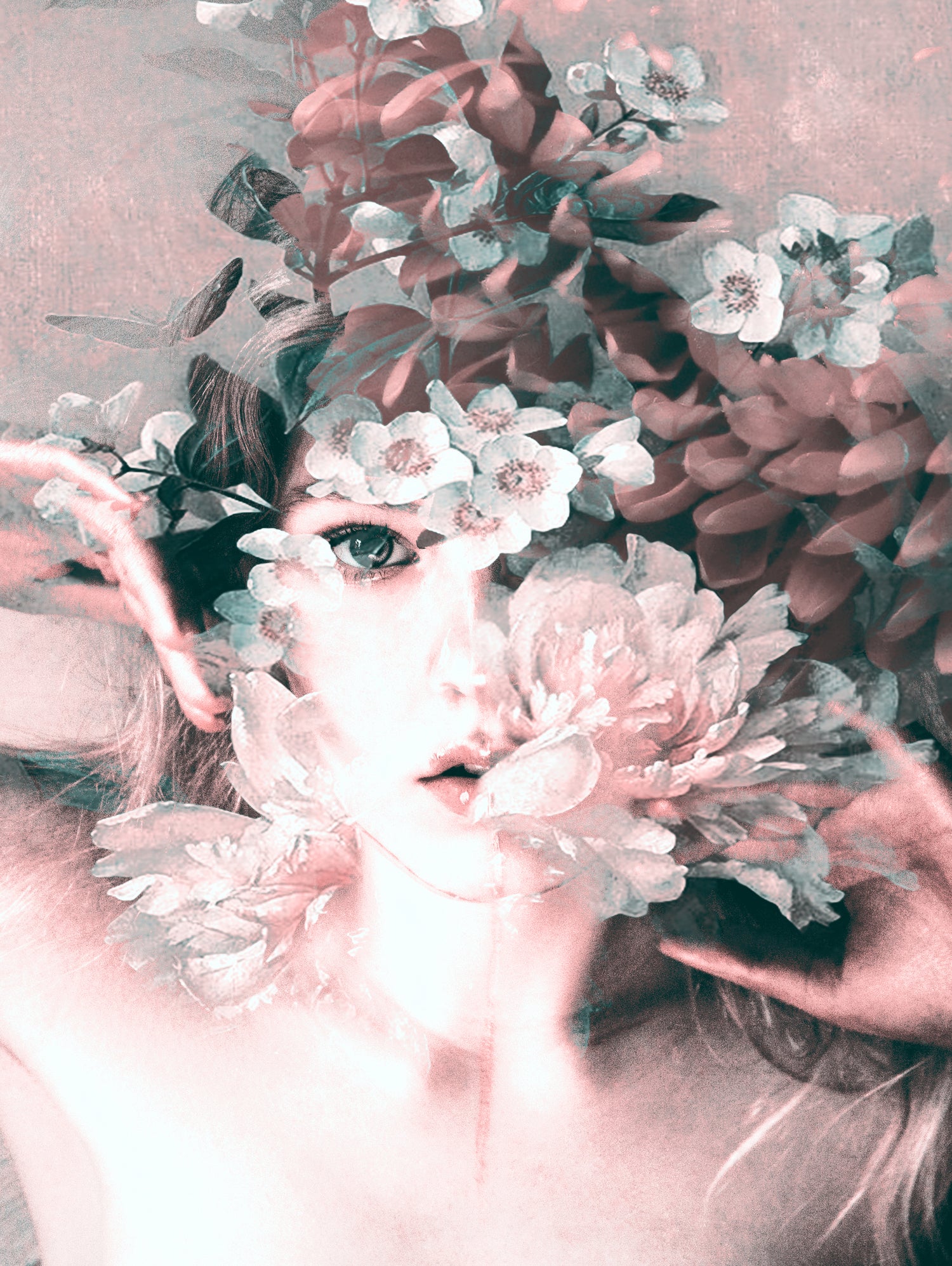 blooming 2 by dada22 . on GIANT ART - pink photo illustration