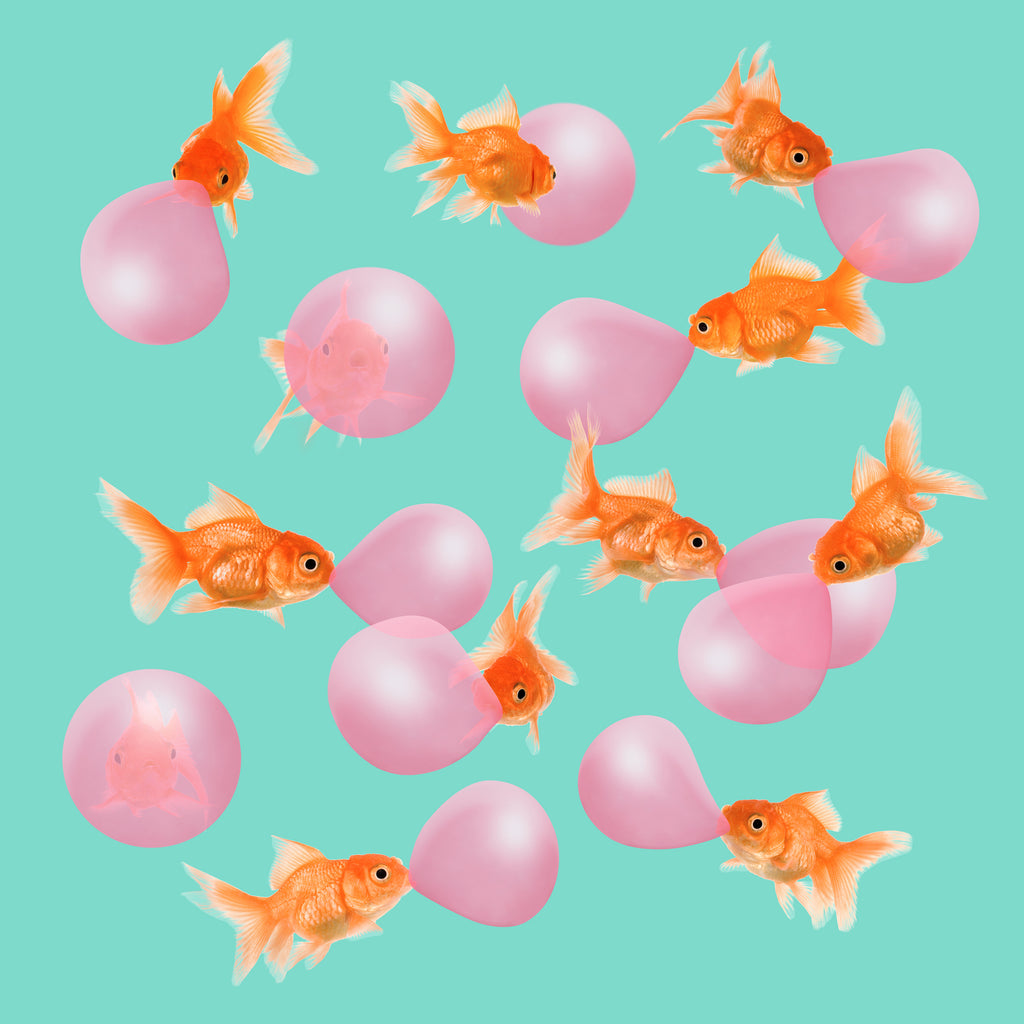 BUBBLEGUM GOLDFISH by Jonas Loose on GIANT ART - pink digital painting