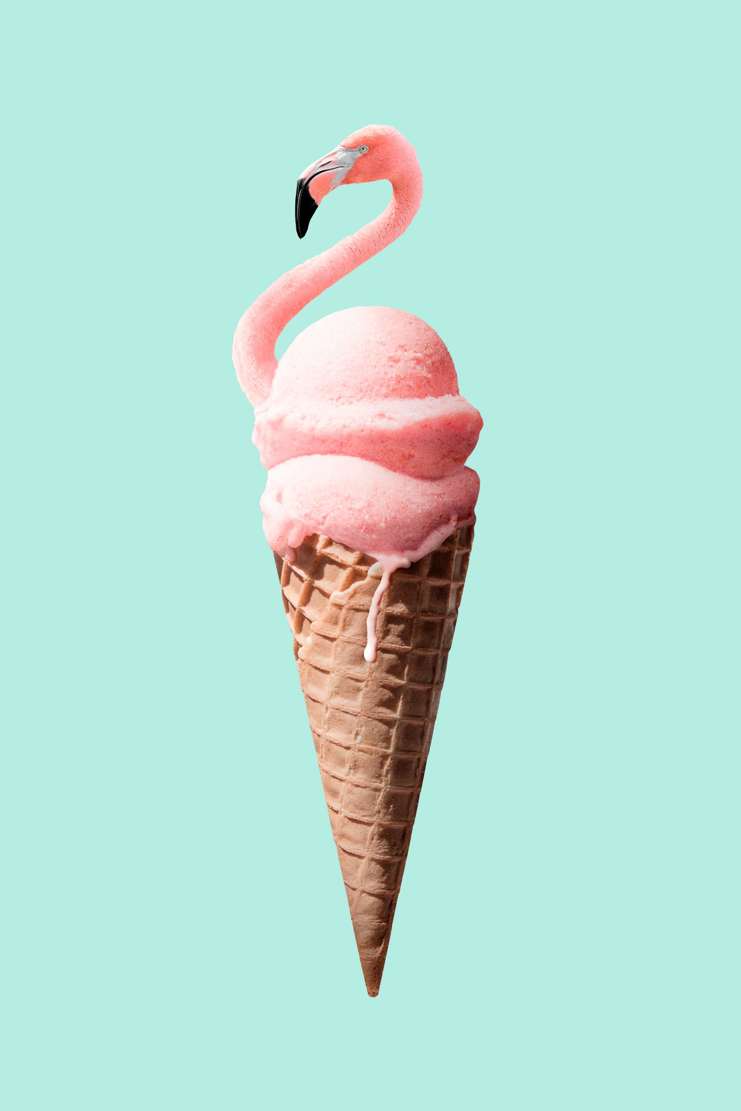 FLAMINGO CONE by Jonas Loose on GIANT ART - pink photo manipulation