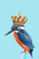 KINGFISHER by Jonas Loose on GIANT ART - blue photo manipulation