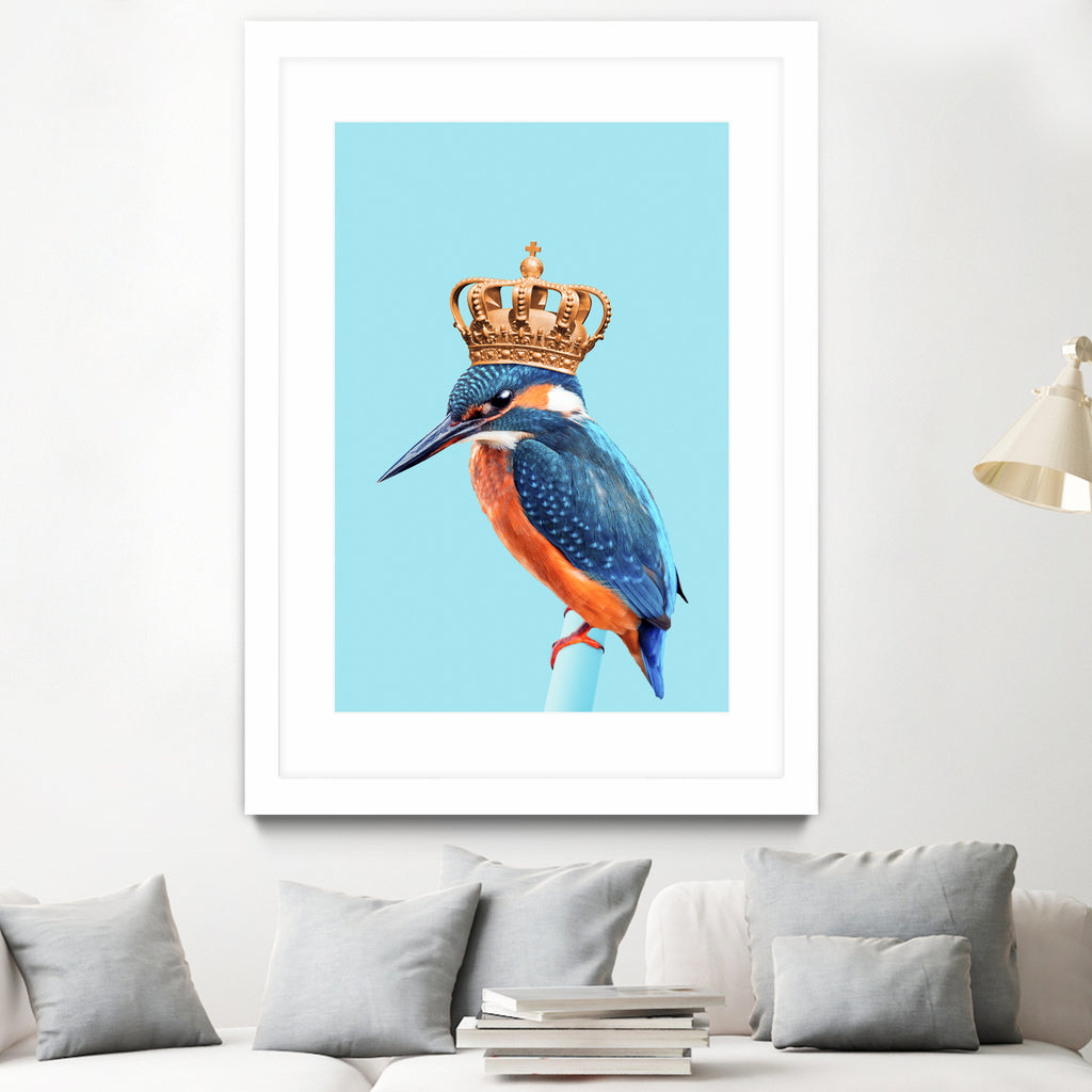 KINGFISHER by Jonas Loose on GIANT ART - blue photo manipulation