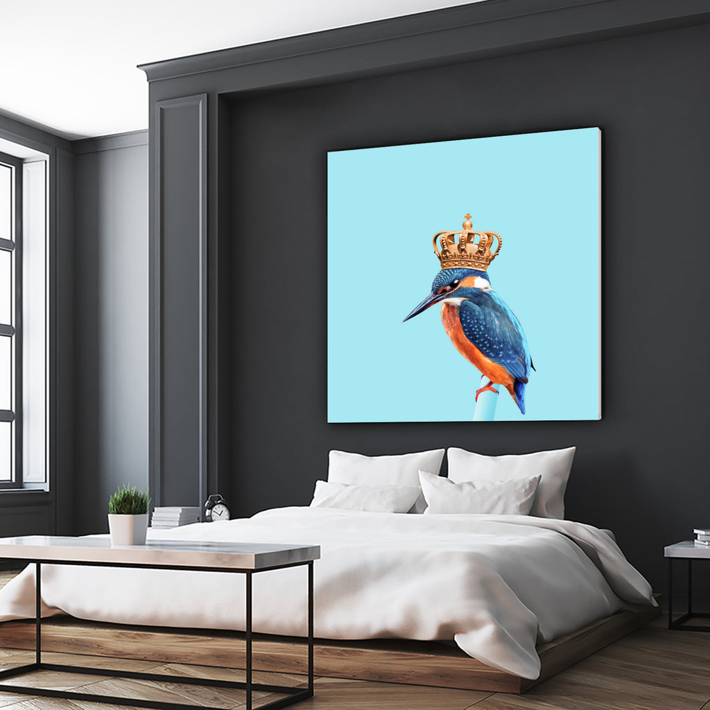 KINGFISHER by Jonas Loose on GIANT ART - blue photo manipulation