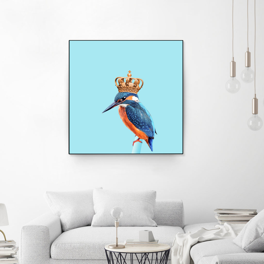 KINGFISHER by Jonas Loose on GIANT ART - blue photo manipulation