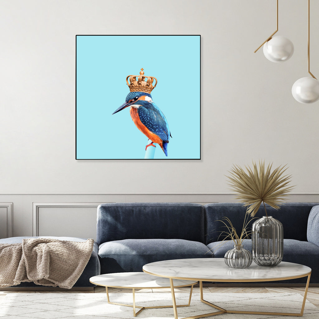 KINGFISHER by Jonas Loose on GIANT ART - blue photo manipulation