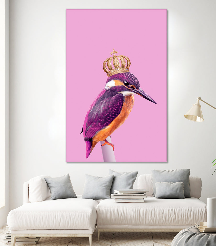 QUEENFISHER by Jonas Loose on GIANT ART - pink photo manipulation