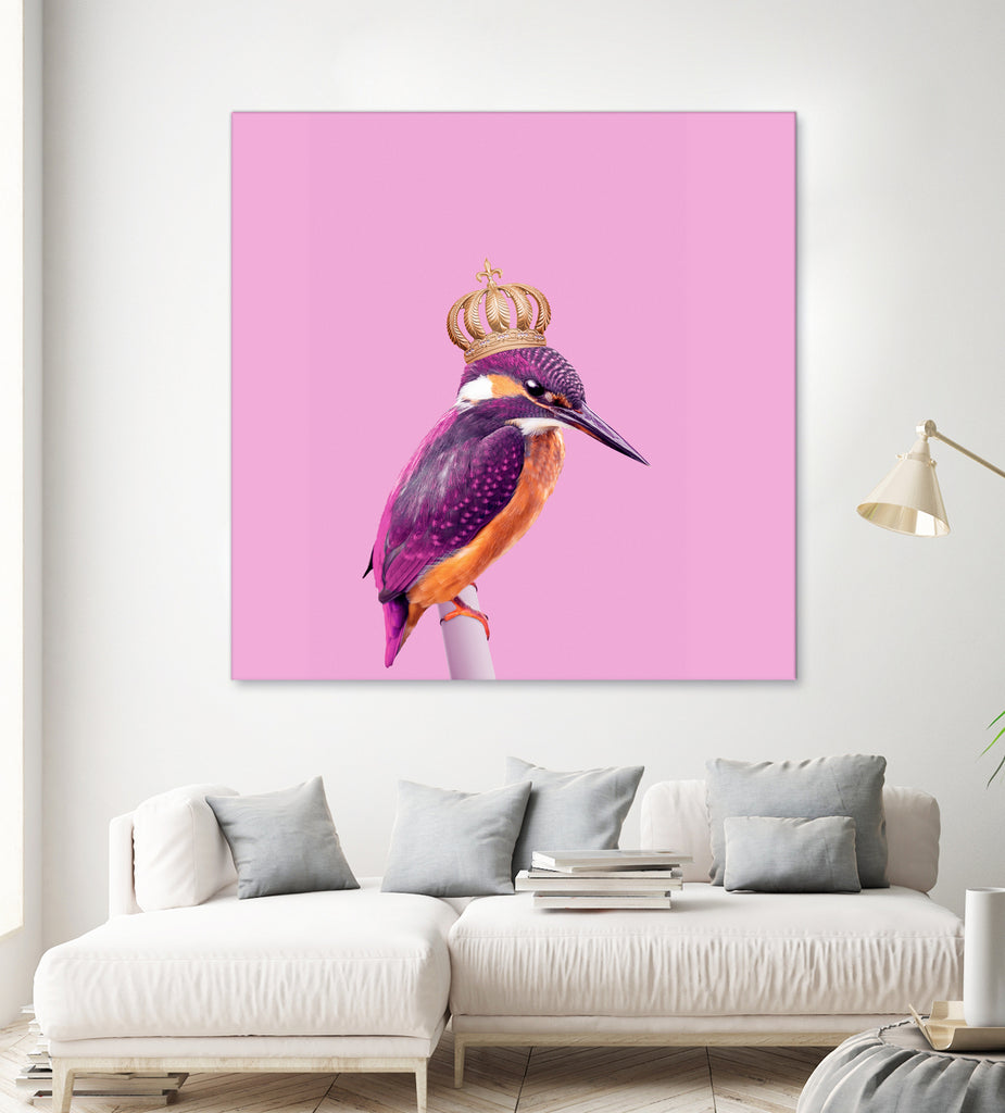 QUEENFISHER by Jonas Loose on GIANT ART - pink photo manipulation